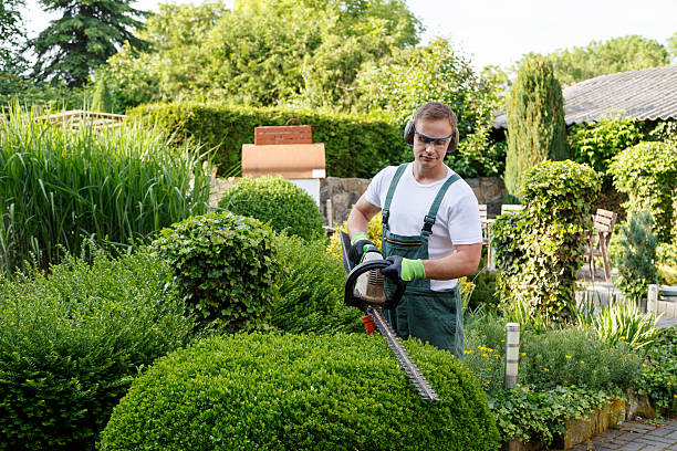 Best Lawn Edging  in USA